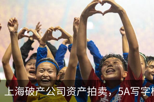 上海破产公司资产拍卖，5A写字楼烂尾楼以1.1亿成交