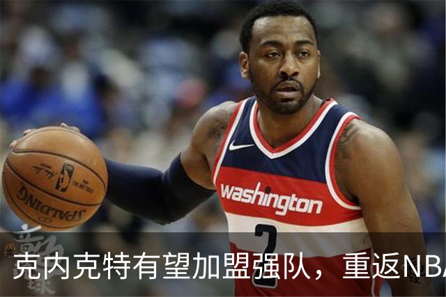 克内克特有望加盟强队，重返NBA之路逐渐明朗